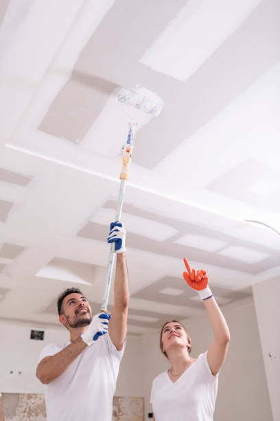 Greenfield, TN Mold Removal Company