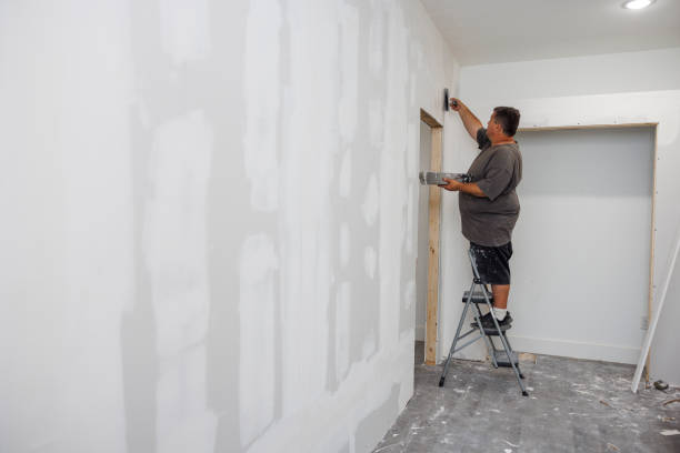 Best Mold Documentation for Insurance Claims  in Greenfield, TN