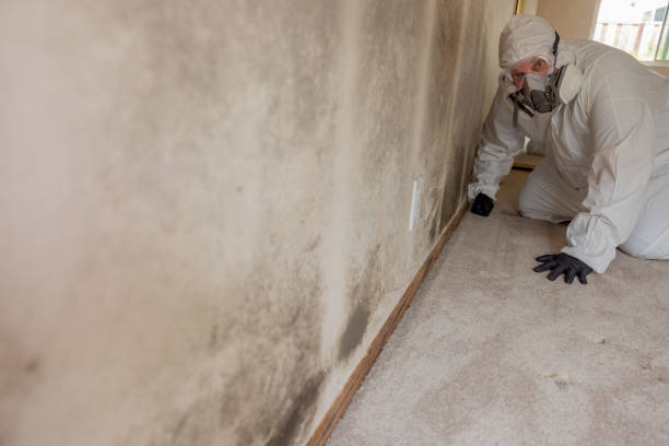 Best Commercial Mold Inspection  in Greenfield, TN